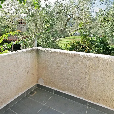 Angela * فوروفورو